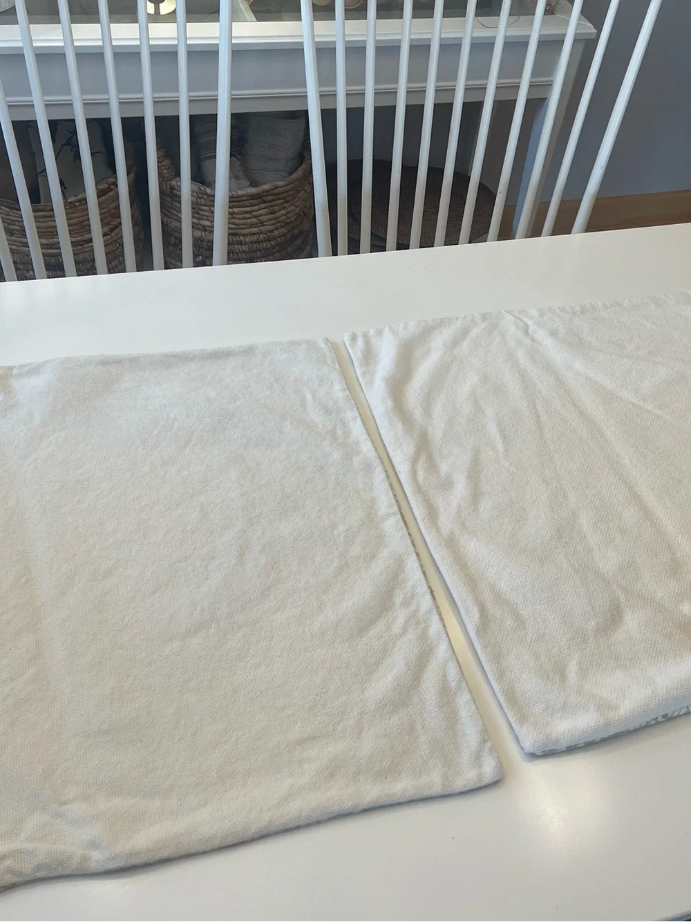 Pottery Barn Cream Medallion Accent Pillow Pair